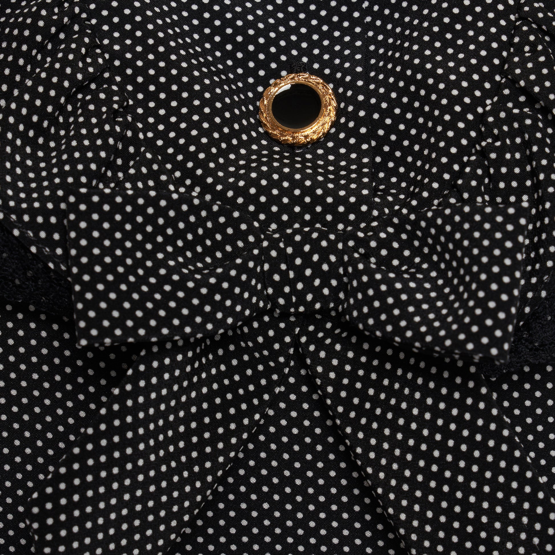 Black and white small polka-dot print silk crêpe de chine midi dress with short puffed sleeeves and black and old tone buttons. Finished with a lace trimmed collar and ruffled bib detailing.

Look 31 – Fall Winter 2026 Lookbook.